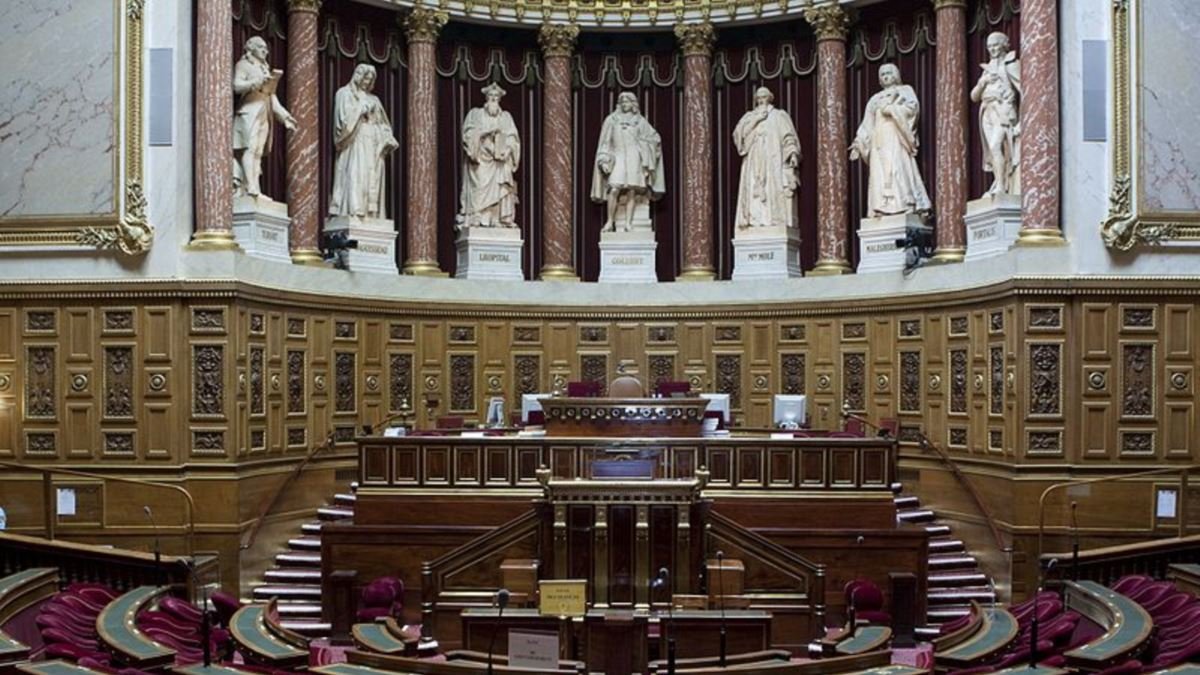 Senat
