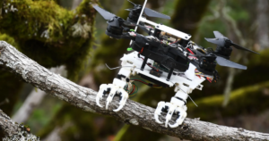 Trchun robot